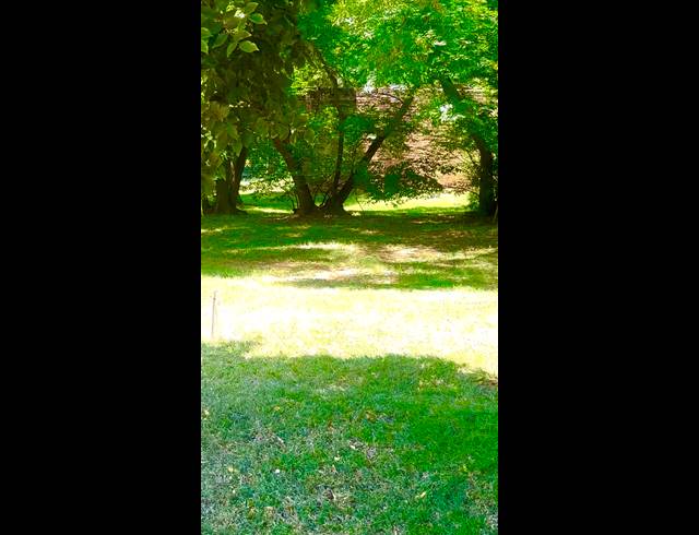 608M² VACANT LAND FOR SALE IN MORNINGSIDE